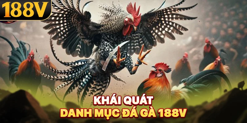 Khái quát danh mục đá gà 188V